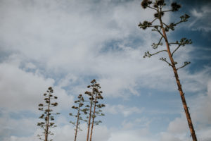 fotografo-boda-almeria-cabo-gata-352