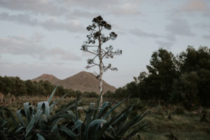 fotografo-boda-almeria-cabo-gata-473